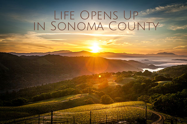 Life Opens Up In Sonoma County. 